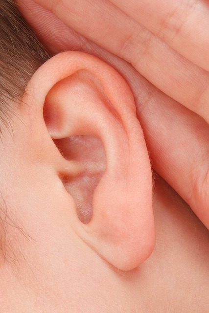 profil d'apprentissage auditif oreille