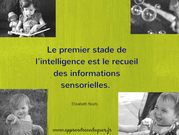 Les Fonctions Cognitives C Est Quoi