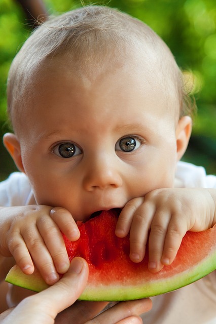 enfant mange pastèque fruits et légumes