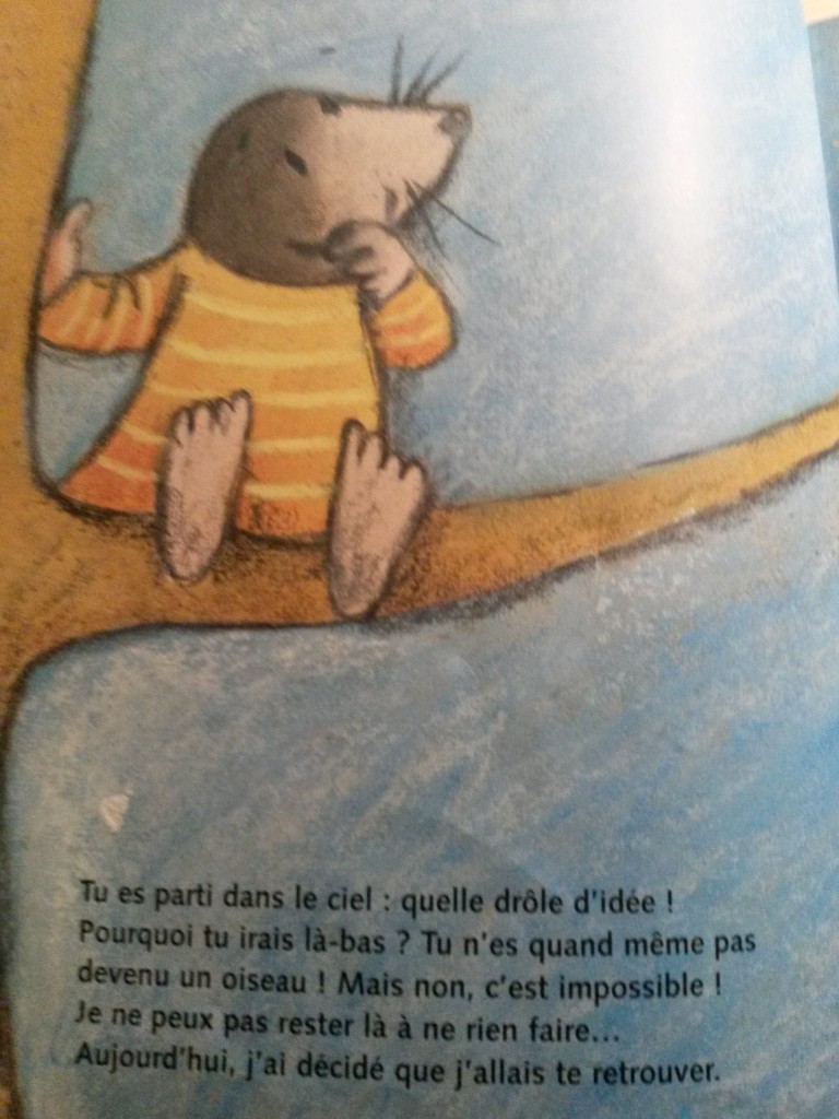 10 Livres Sensibles Et Justes Pour Accompagner Les Enfants Lors D Un Deuil