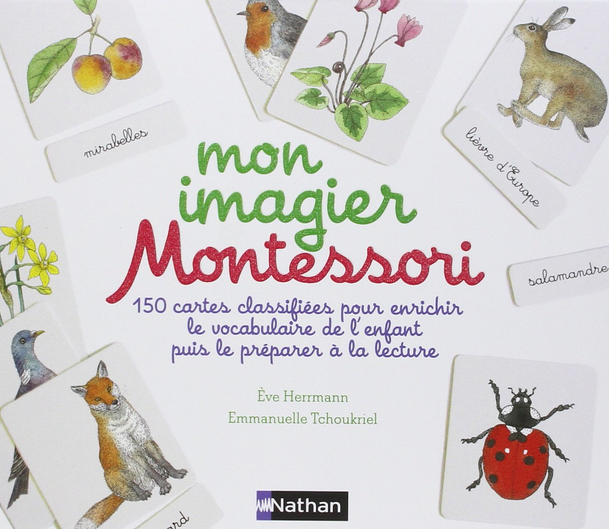 60 Cartes vierges - Langage - Lecture - Pensées Montessori