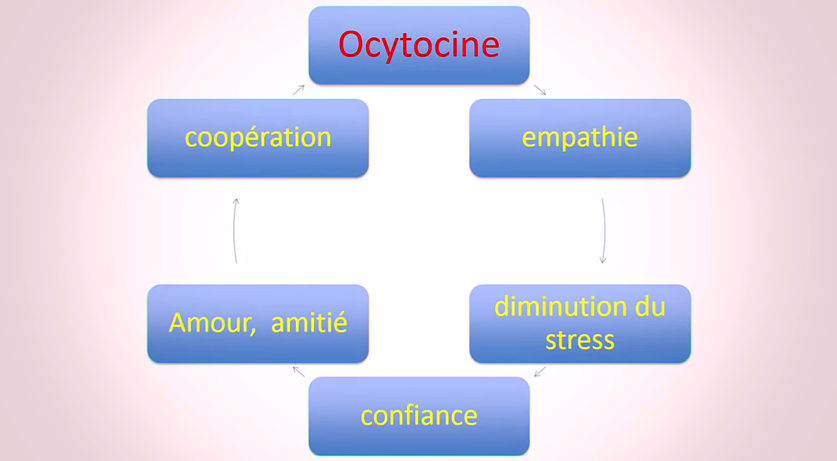 ocytocine éducation