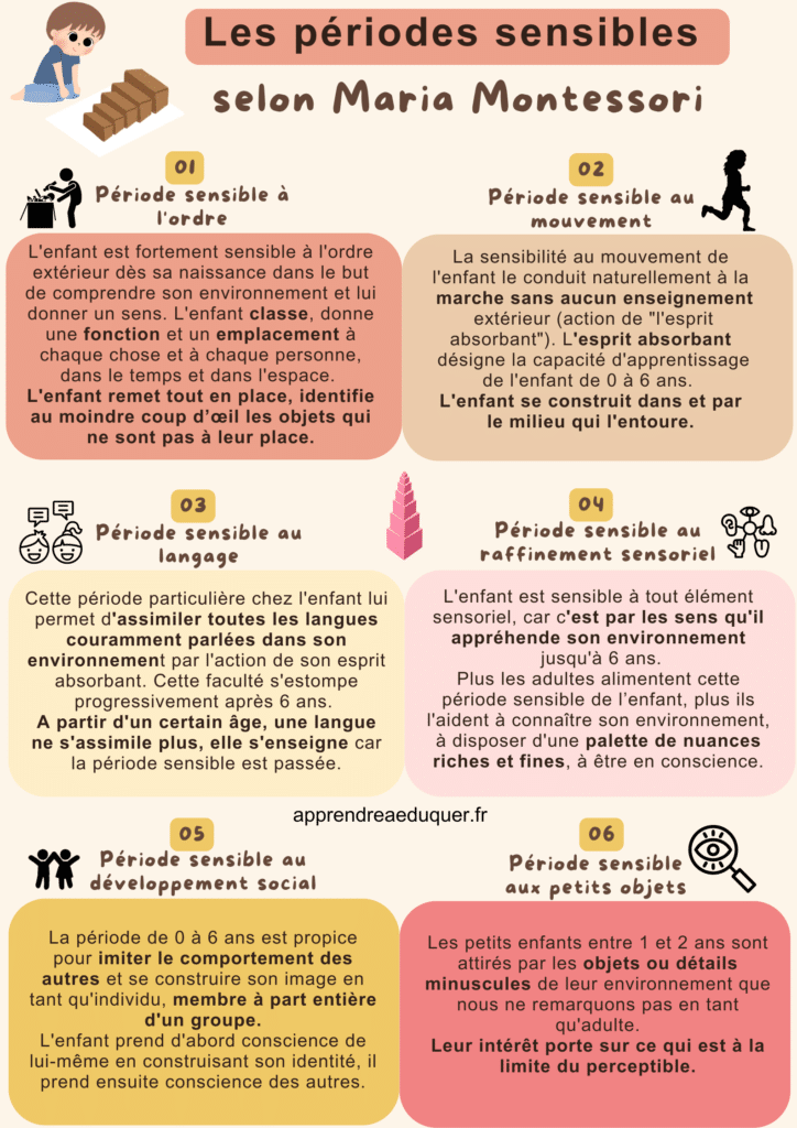 Période sensible montessori