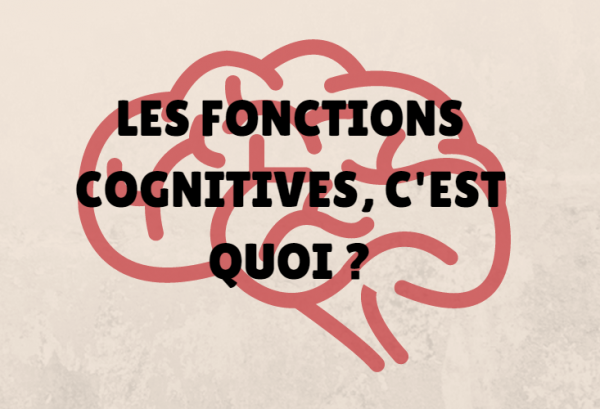 Les Fonctions Cognitives, C'est Quoi