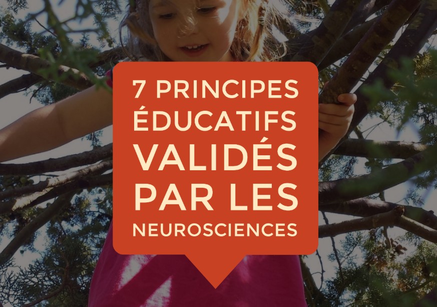 principes éducation neurosciences