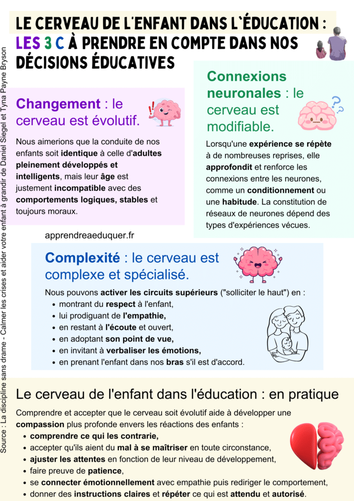 Le cerveau de l'enfant dans l'éducation