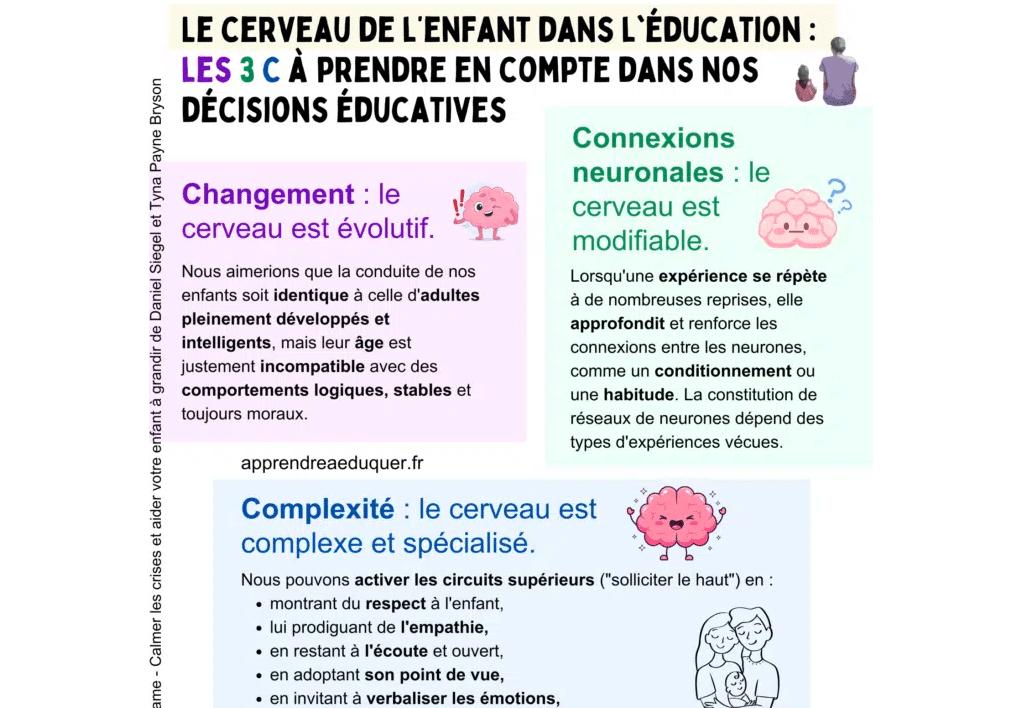 cerveau enfant éducation