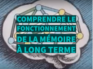 Comprendre le fonctionnement de la mémoire à long terme