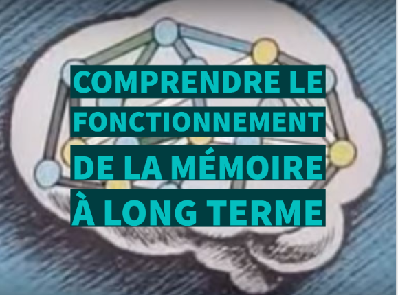 Comprendre le fonctionnement de la mémoire à long terme