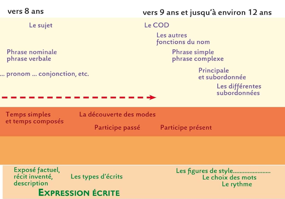 guide montessori 6 12 ans