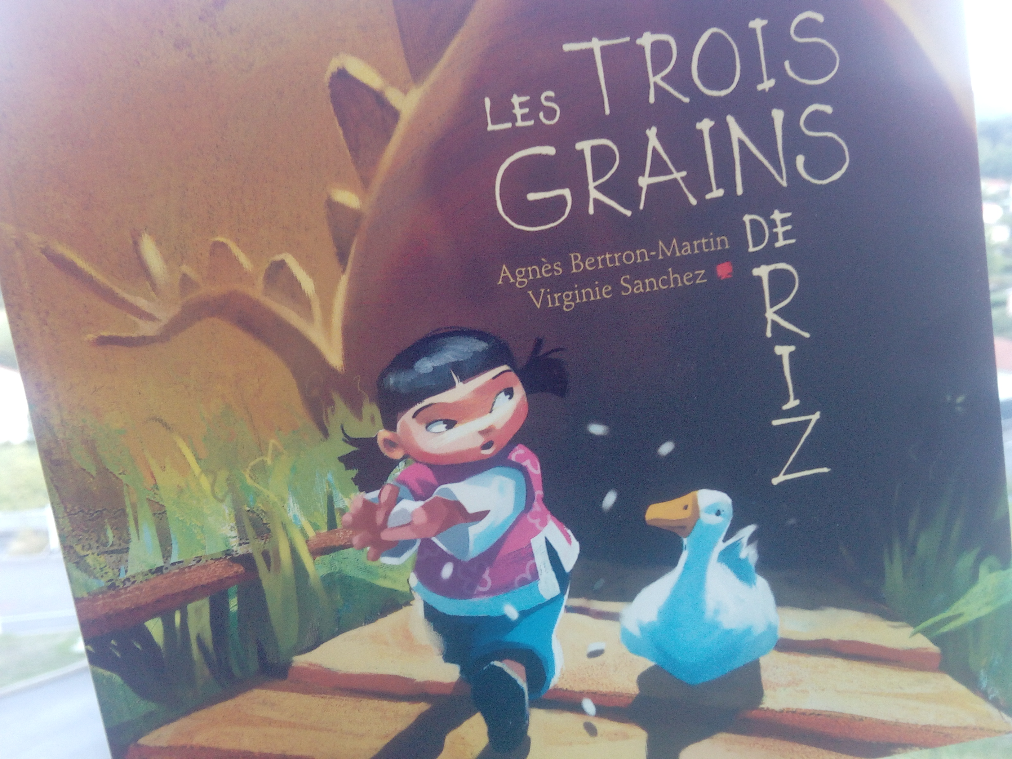 Les trois grains de riz : un livre pour enfants sur le partage, la