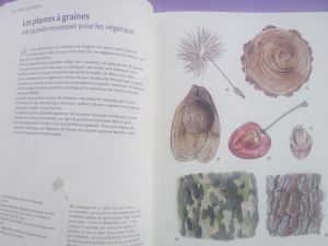 livre enfants nature et plantes