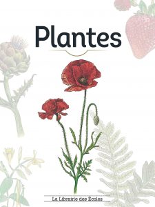 plantes livre enfant botanique