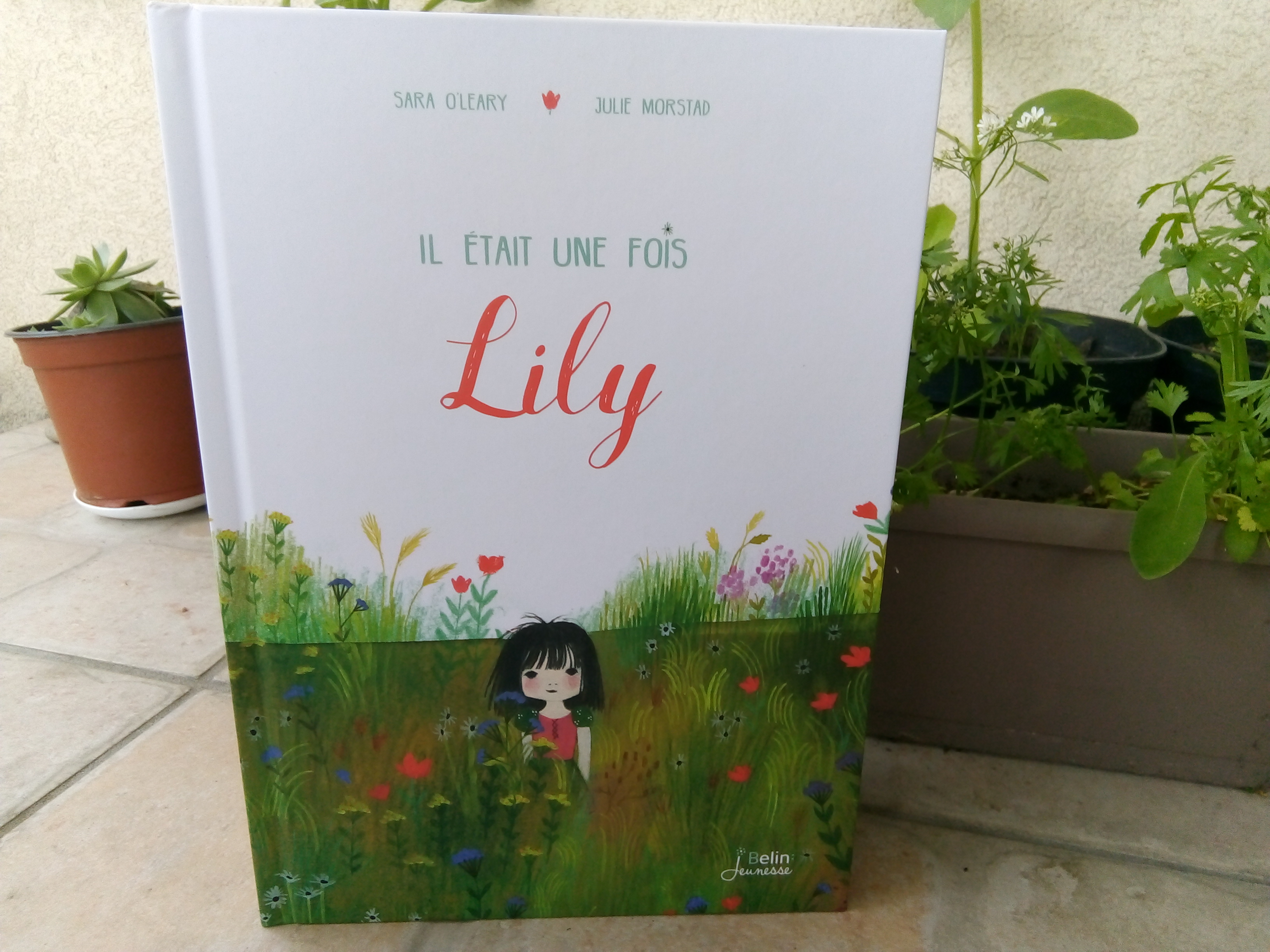 livre imagination enfants lily