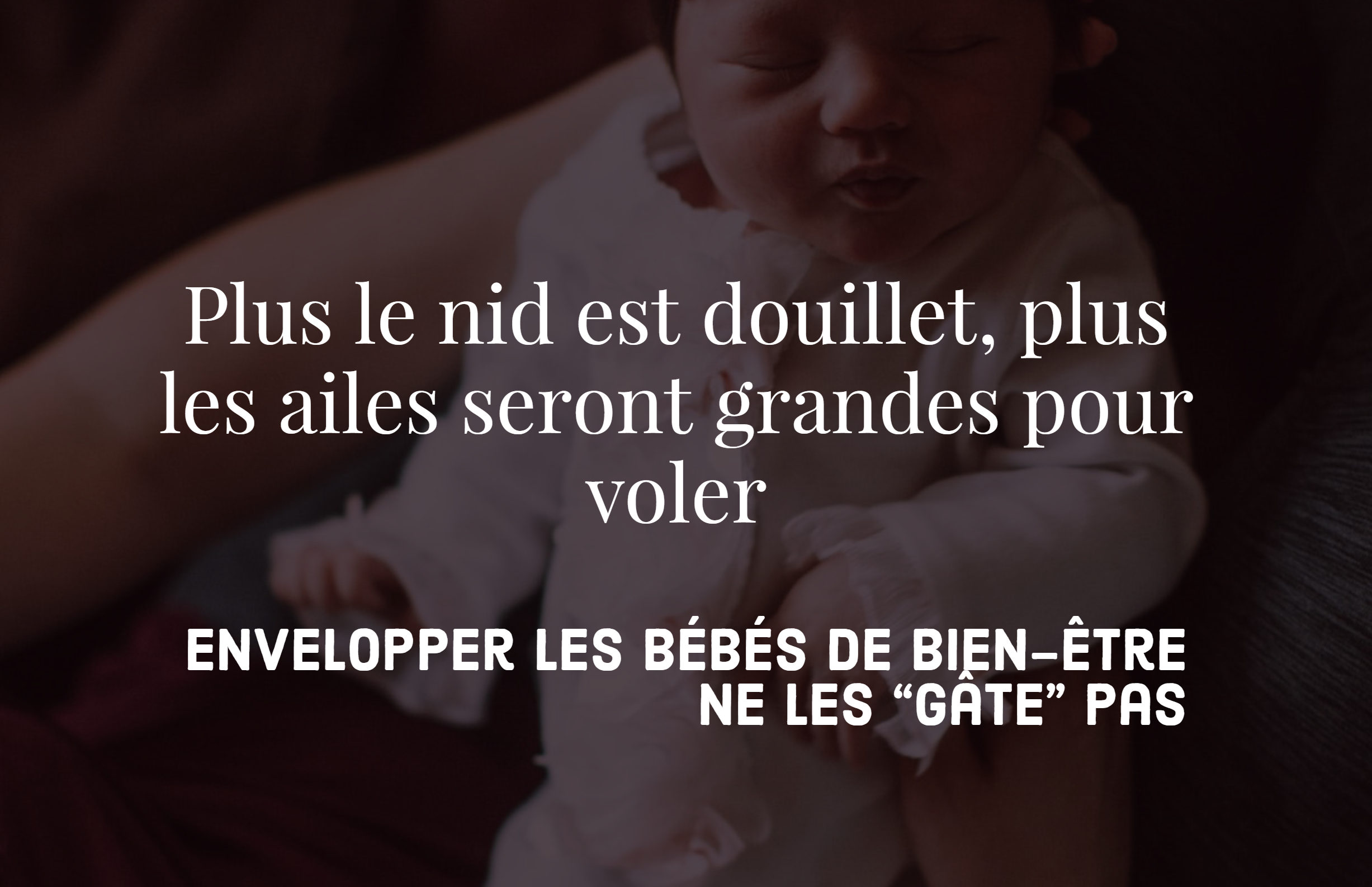 Plus Le Nid Est Douillet Plus Les Ailes Seront Grandes Pour Voler Envelopper Les Bebes De Bien Etre Ne Les Gate Pas