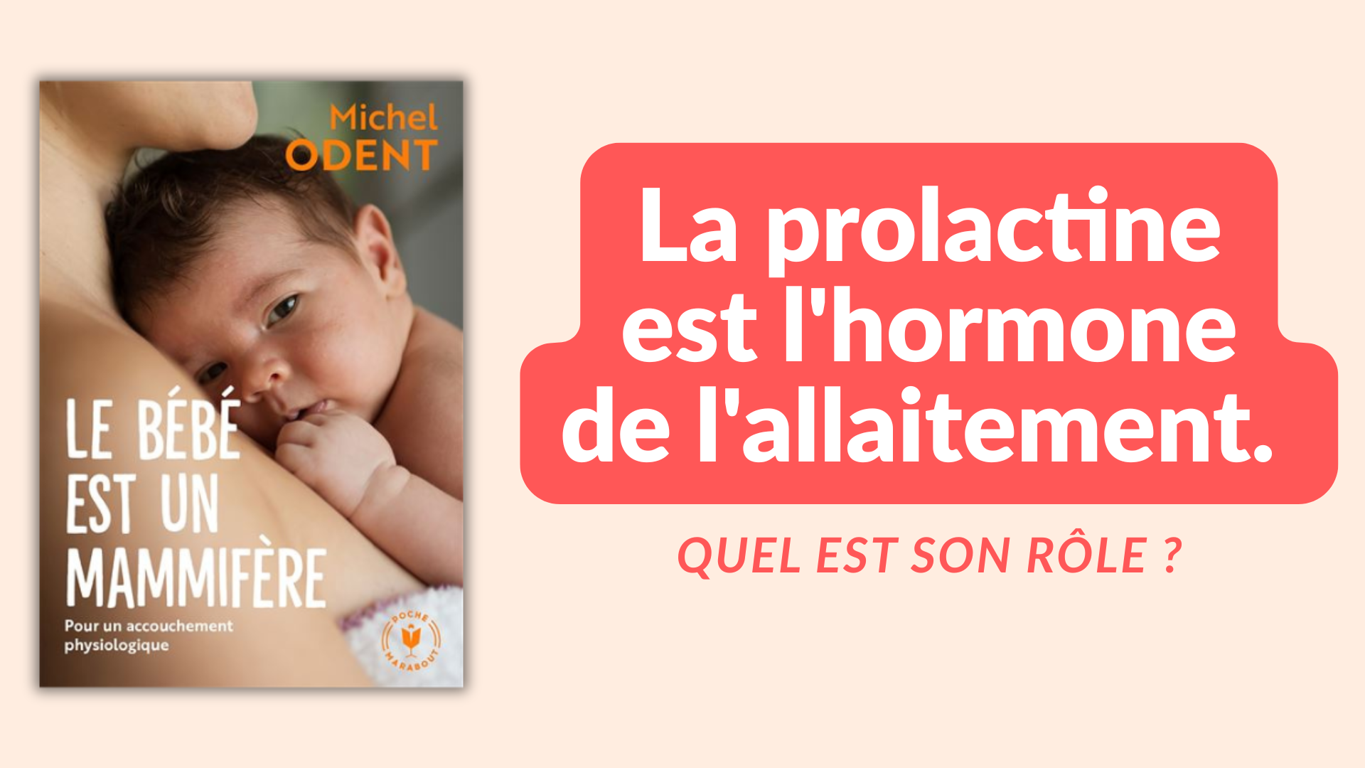 prolactine allaitement