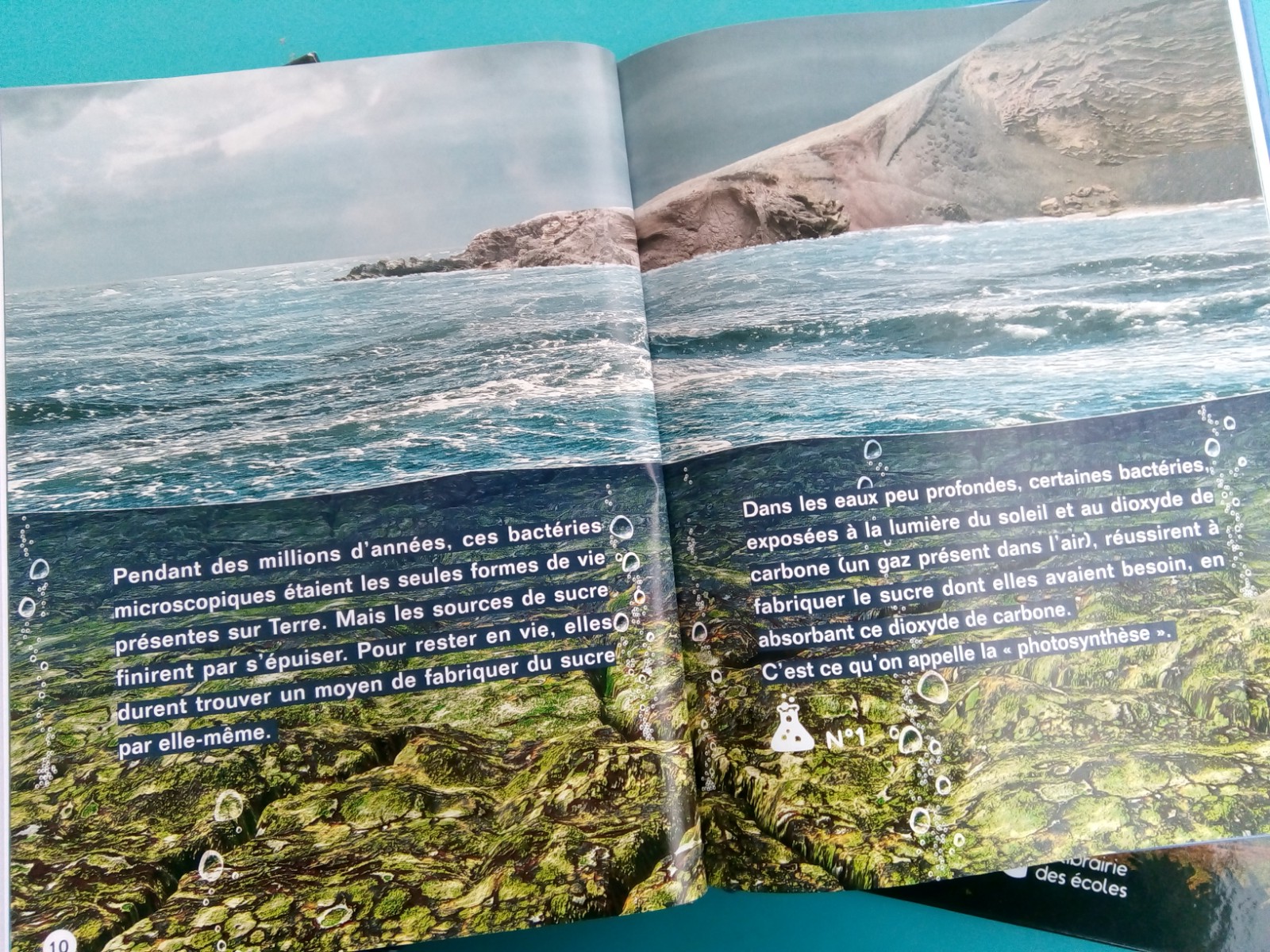 Grands Recits Montessori 3 Livres Pour Comprendre La Naissance De L Univers Et L Apparition De La Vie Sur Terre