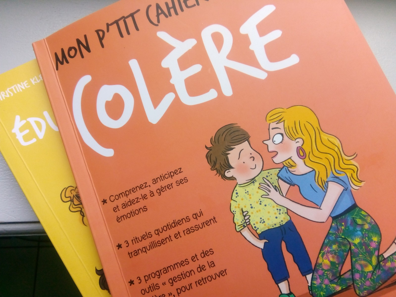 cahier colère famille
