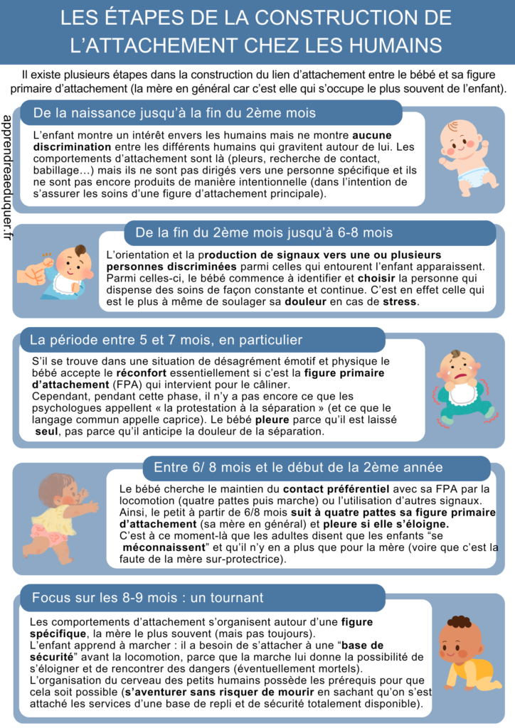 étapes attachement bébé