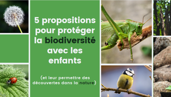 5 Propositions Pour Protéger La Biodiversité Avec Les Enfants Et Leur Permettre Des Découvertes 3309