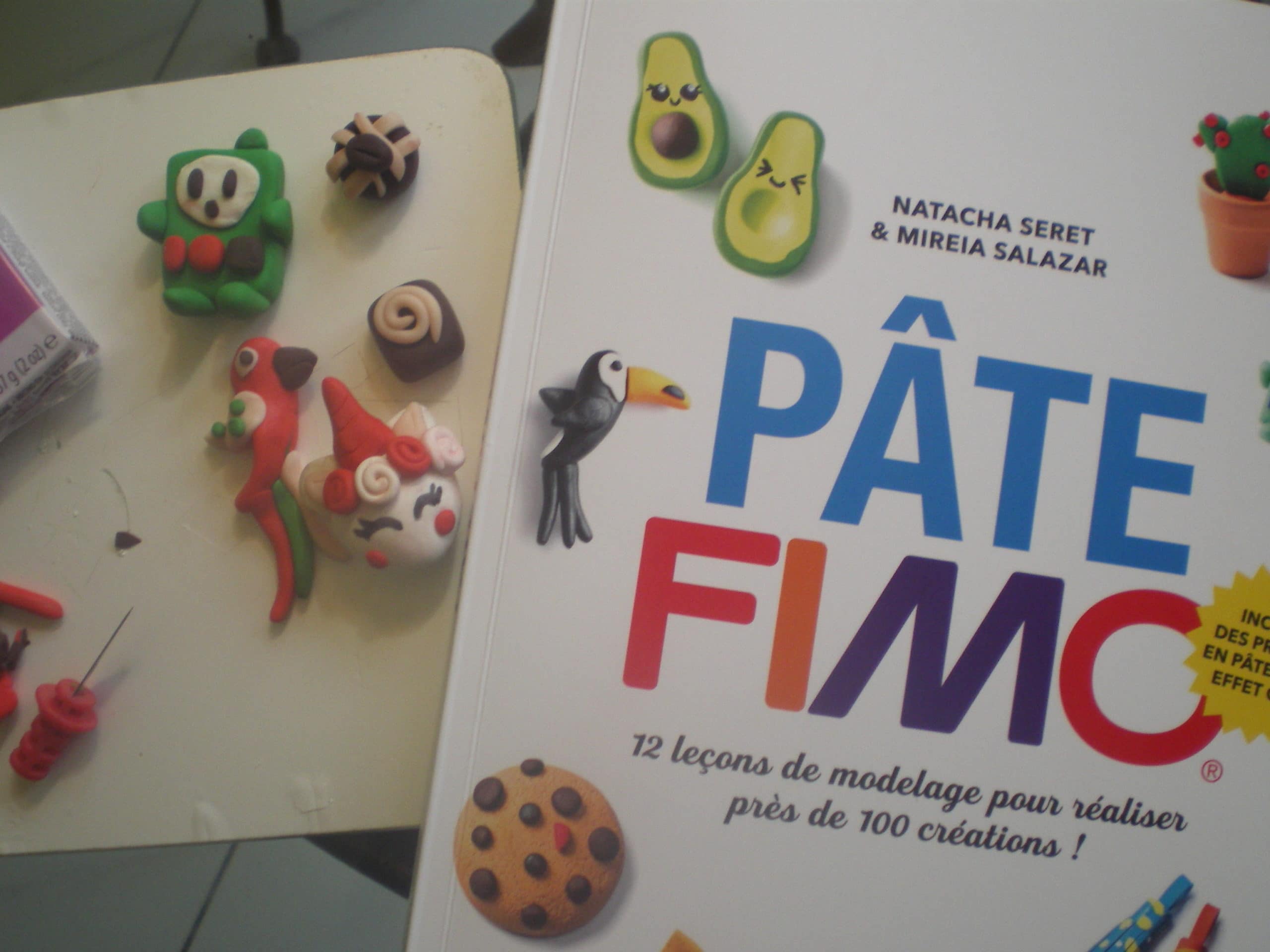 Un livre avec 80 idées faciles en pâte Fimo : idéal pour des activités  créatives en famille - Apprendre à éduquer