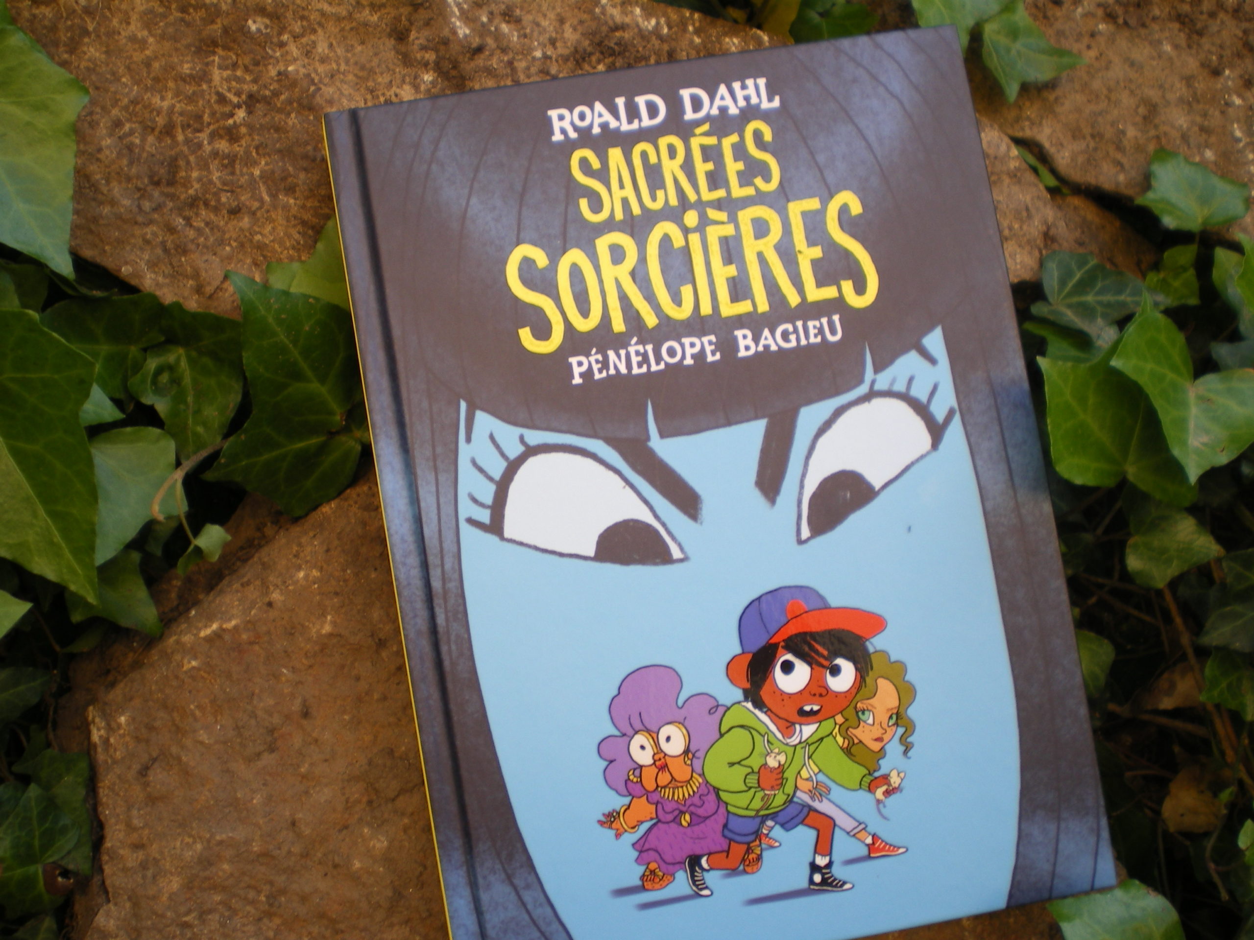 Sacrees Sorcieres Un Classique Drolissime En Bande Dessinee Coup De Coeur Apprendre A Eduquer