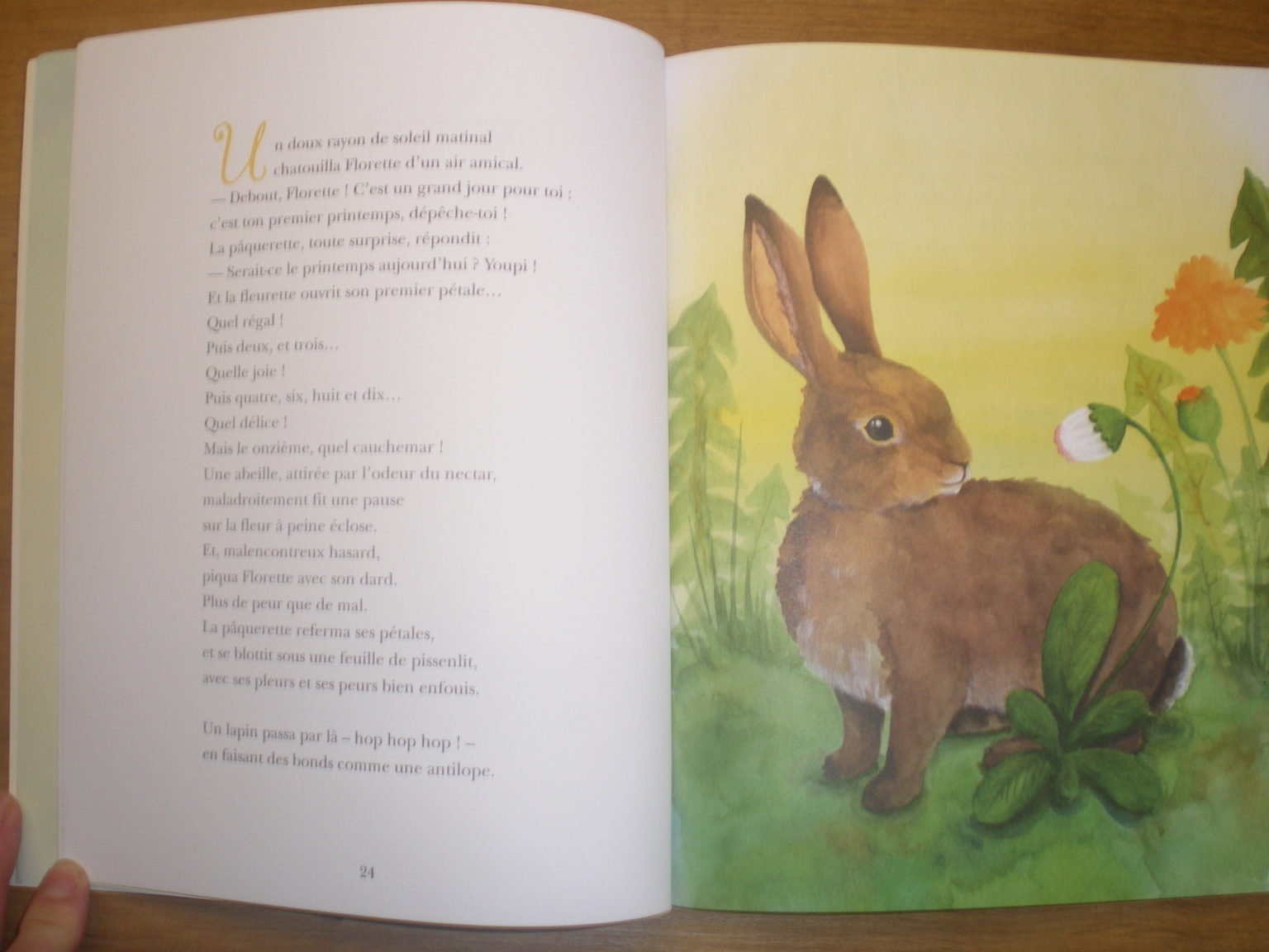 Les fabliaux des animaux : quinze fables pleines d'humour et de rythme