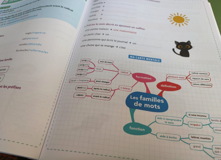 livret réviser maths français carte mentale