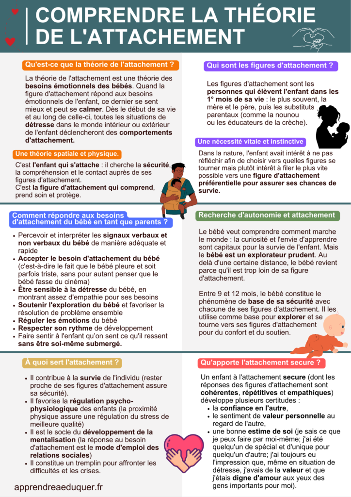 Qu'est-ce que la théorie de l'attachement