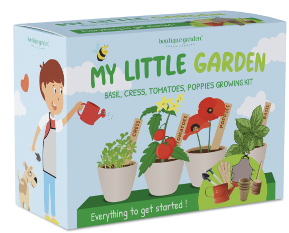 coffret pousser plante enfants