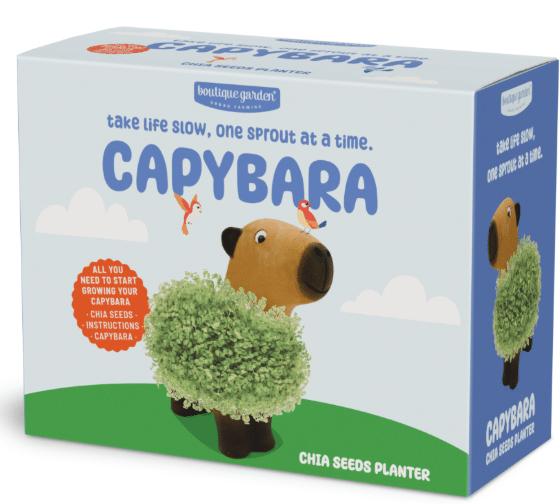 kit pousser plante enfants