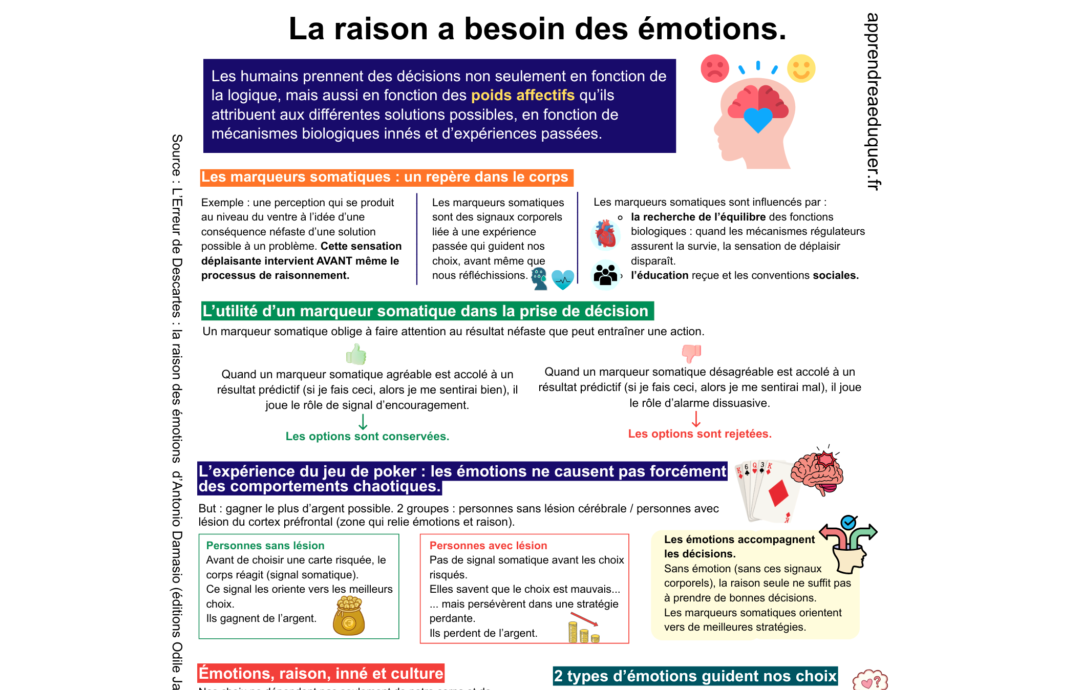 émotions et raison
